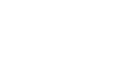 REASON 04